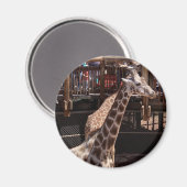 おばあちゃんマグネット#1 マグネット (正面/裏面)