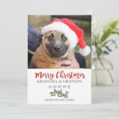 おばあちゃん爺ちゃんのクリスマスfrom Dog シーズンカード (スタンド正面)