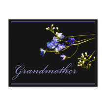 おばあちゃん繊細な青い花