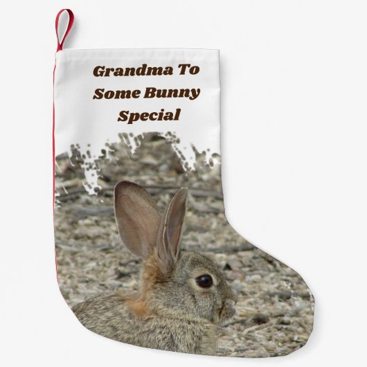 おばあちゃん誰か特別なおもしろいバニープンのユーモア スモールクリスマスストッキング (正面)