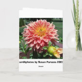 おばあちゃん，おばあちゃん カード (裏面)