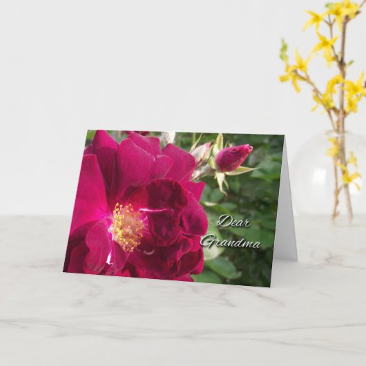 おばあちゃん、赤いバラと芽のための祖父母の日 カード (黄色い花)