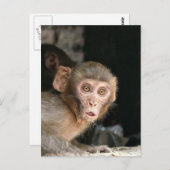 おびえた猿大きな目の縦のカード ポストカード (正面/裏面)