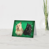 おふざけ カード (正面)