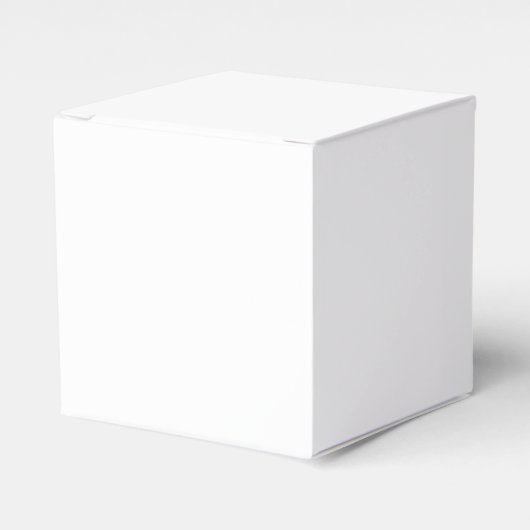 おまけ箱 フェイバーボックス (正面サイド)