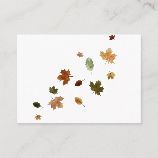 おむつラッフルハロウィンオータムカボチャ エンクロージャーカード (裏面)