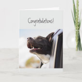 おめでとうが幸せになれないおもしろい犬 カード (正面)