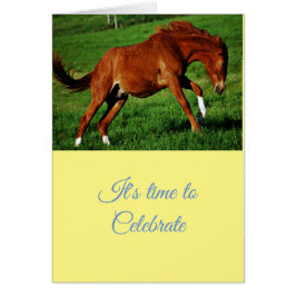 おめでとうございますお祝い