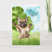 おめでとうございますタンFrenchBulldog カード (正面)