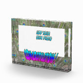 おめでとうございます孔雀F.お客様。カラーフォトブロック フォトブロック (右)