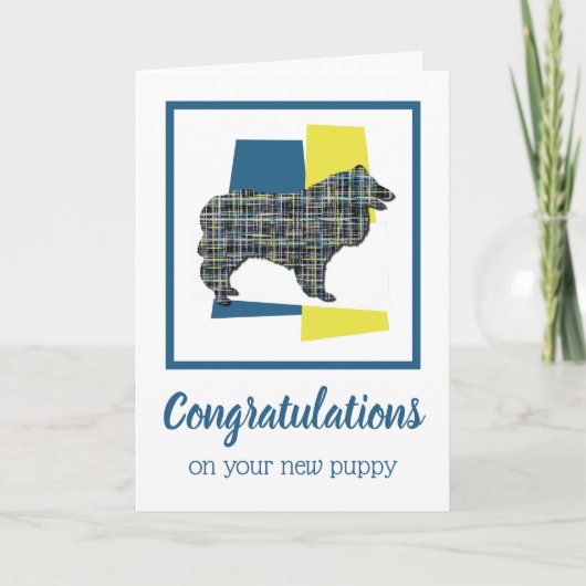 おめでとうございます新しい子犬のコリー カード (正面)