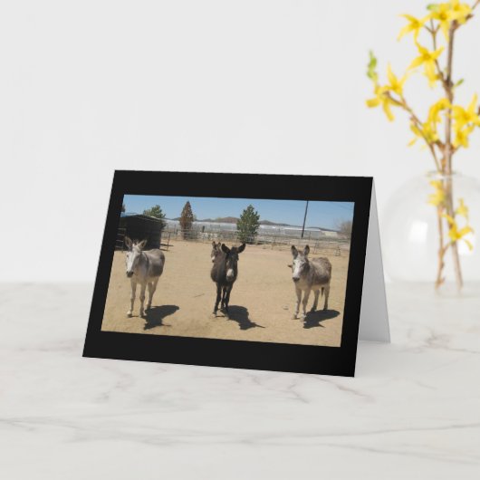 おめでとうございます獣医学研究科 – 牧場 カード (黄色い花)