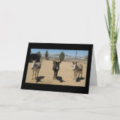 おめでとうございます獣医学研究科 – 牧場 カード (正面)