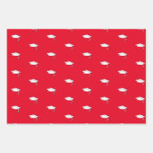 おめでとうございます赤と白の学位卒業 ラッピングペーパーシート (正面3)