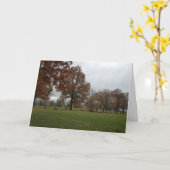 おめでとうございます カード (黄色い花)