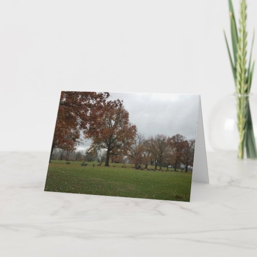 おめでとうございます カード (正面)