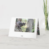 おめでとうございます カード (裏面)