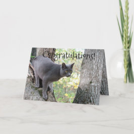 おめでとうございます カード