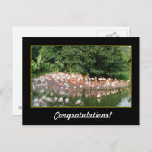 おめでとうございます ポストカード (正面/裏面)