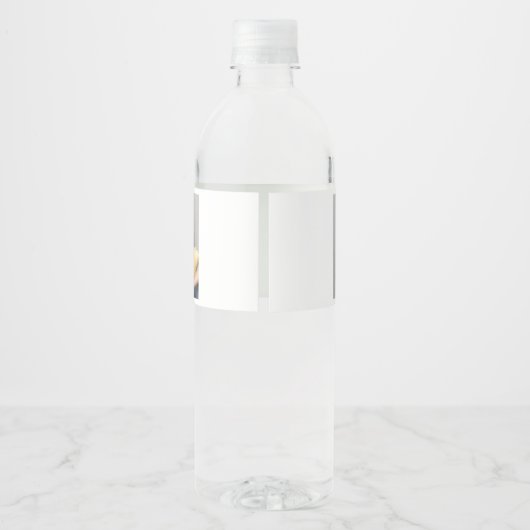 おめでとうズ・グラはっきりしたッド・タイポグラフィ2フォトズ・卒業 ペットボトルラベル (裏面)