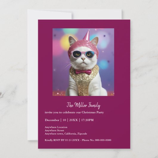 おめでとうパーティー – 変装した猫 (正面)