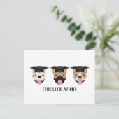 おめでとうフレンチブルドッグ ポストカード (スタンド正面)