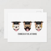 おめでとうフレンチブルドッグ ポストカード (正面/裏面)