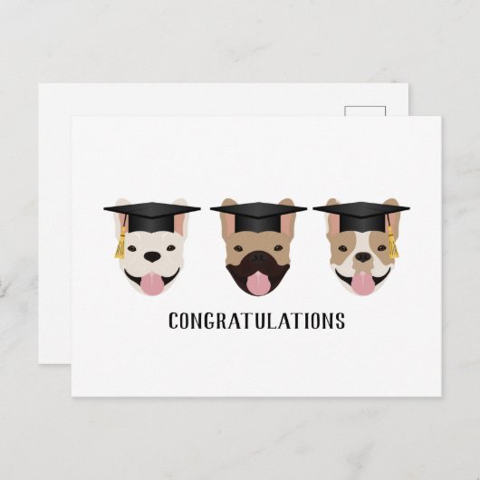 おめでとうフレンチブルドッグ ポストカード (正面/裏面)