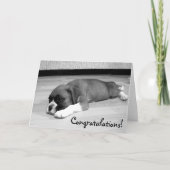 おめでとうボクサー犬グリーティングカード カード (正面)