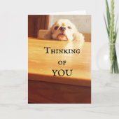 おめでとう威厳がある***誕生日*** カード (正面)