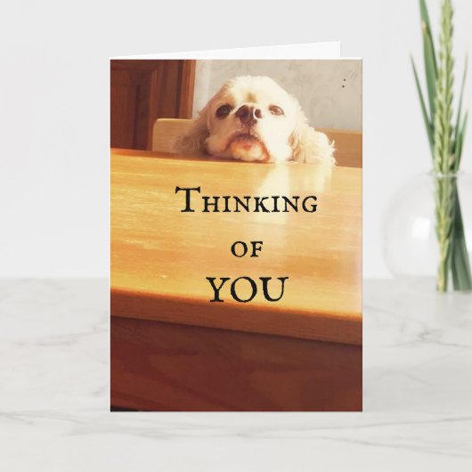 おめでとう威厳がある***誕生日*** カード (正面)