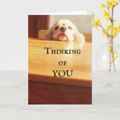 おめでとう威厳がある***誕生日*** カード (黄色い花)