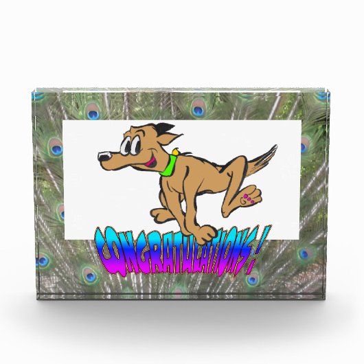 おめでとう孔雀の羽カラーフォトブロック フォトブロック (正面)