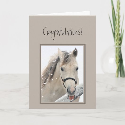 おめでとう態度の馬 カード (正面)