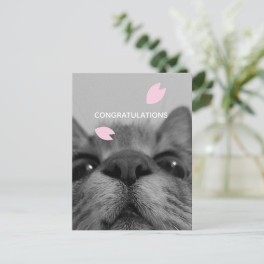 おめでとう空白のはがき ポストカード (スタンド正面)