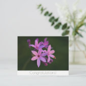 おめでとう花はがき ポストカード (スタンド正面)