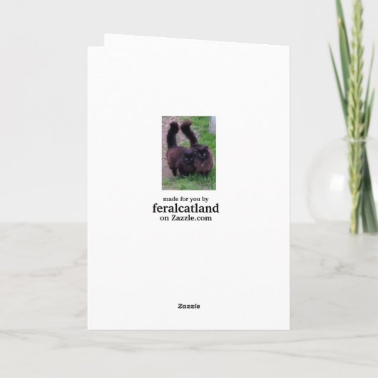 おめでとう記念日のキャットカード カード (裏面)