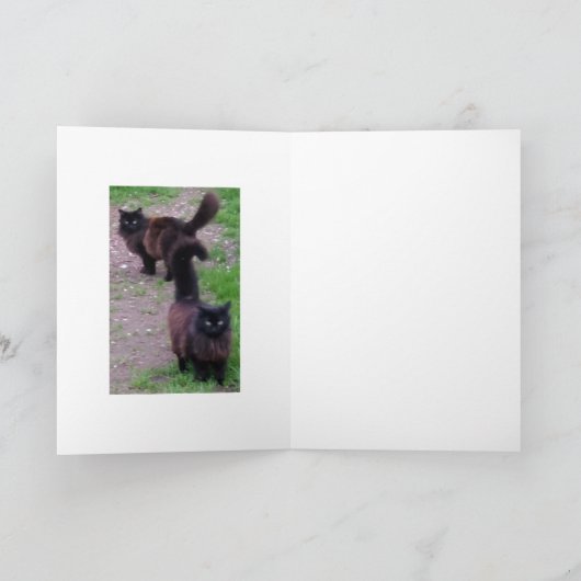 おめでとう記念日のキャットカード カード (内部)