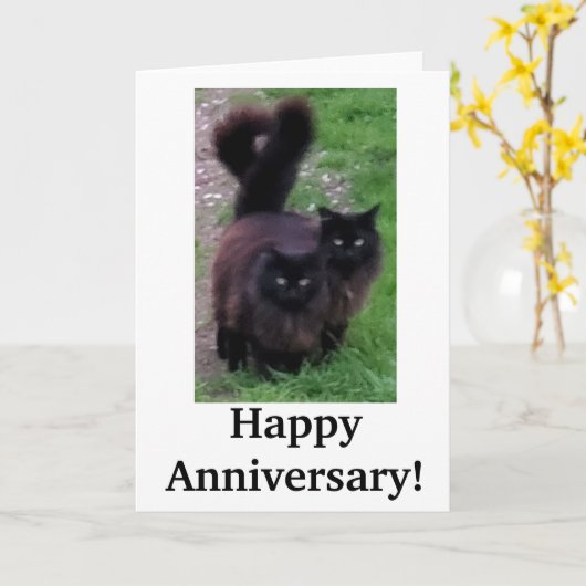 おめでとう記念日のキャットカード カード (黄色い花)