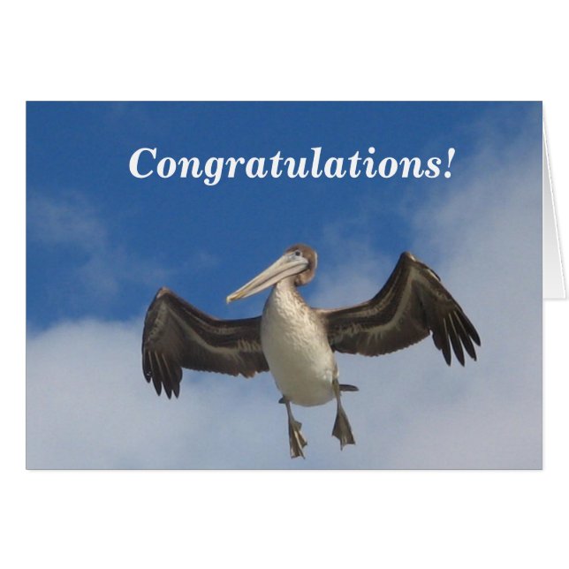 おめでとう_ (正面横)