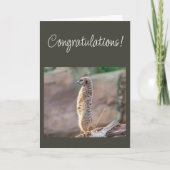 おめでとう！あなたは素晴らしい！ カード (正面)