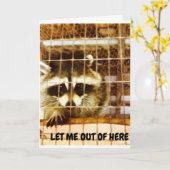 「おめでとう」と言えるように出してあげましょう カード (黄色い花)