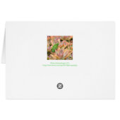 おめでとう/ねたみ/緑トカゲで緑 (裏面横)