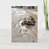 おめでとう!カメの退職 カード (正面)