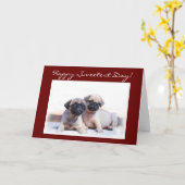 おめでとう カード (黄色い花)