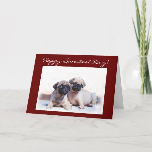 おめでとう カード (正面)