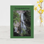 おめでとう カード (黄色い花)