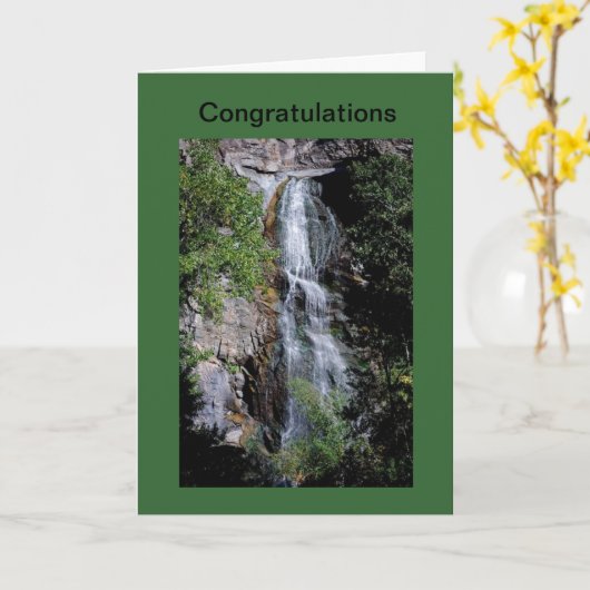 おめでとう カード (黄色い花)