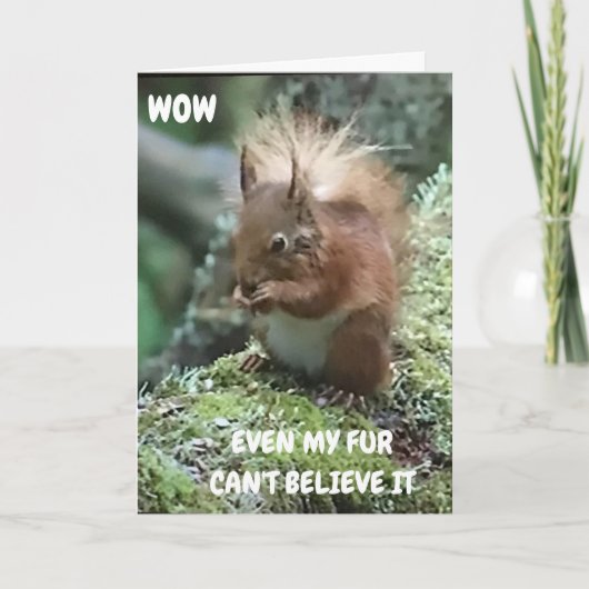 おめでとう**** カード (正面)