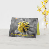 おめでとう カード (黄色い花)